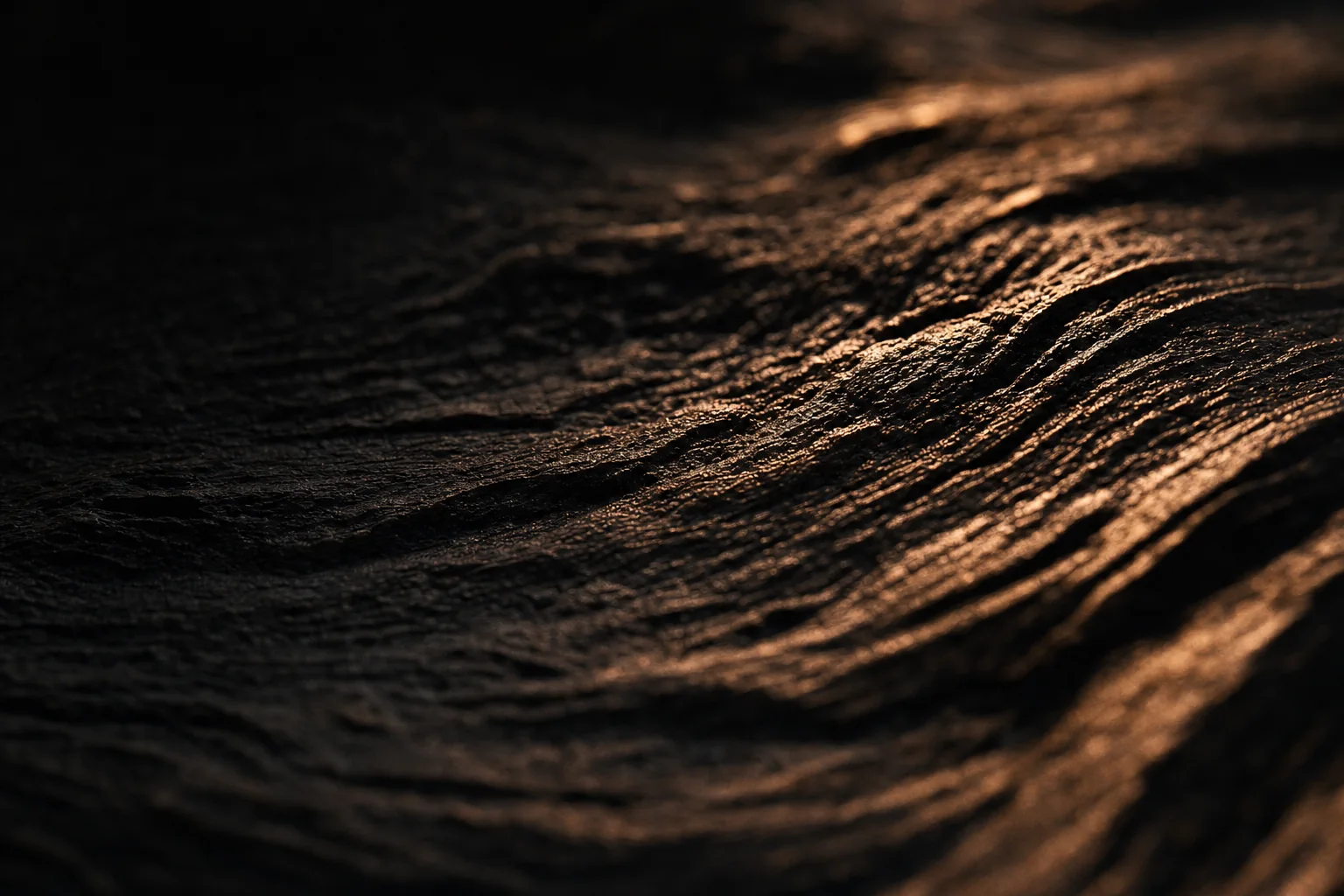 Close detail of timber grain